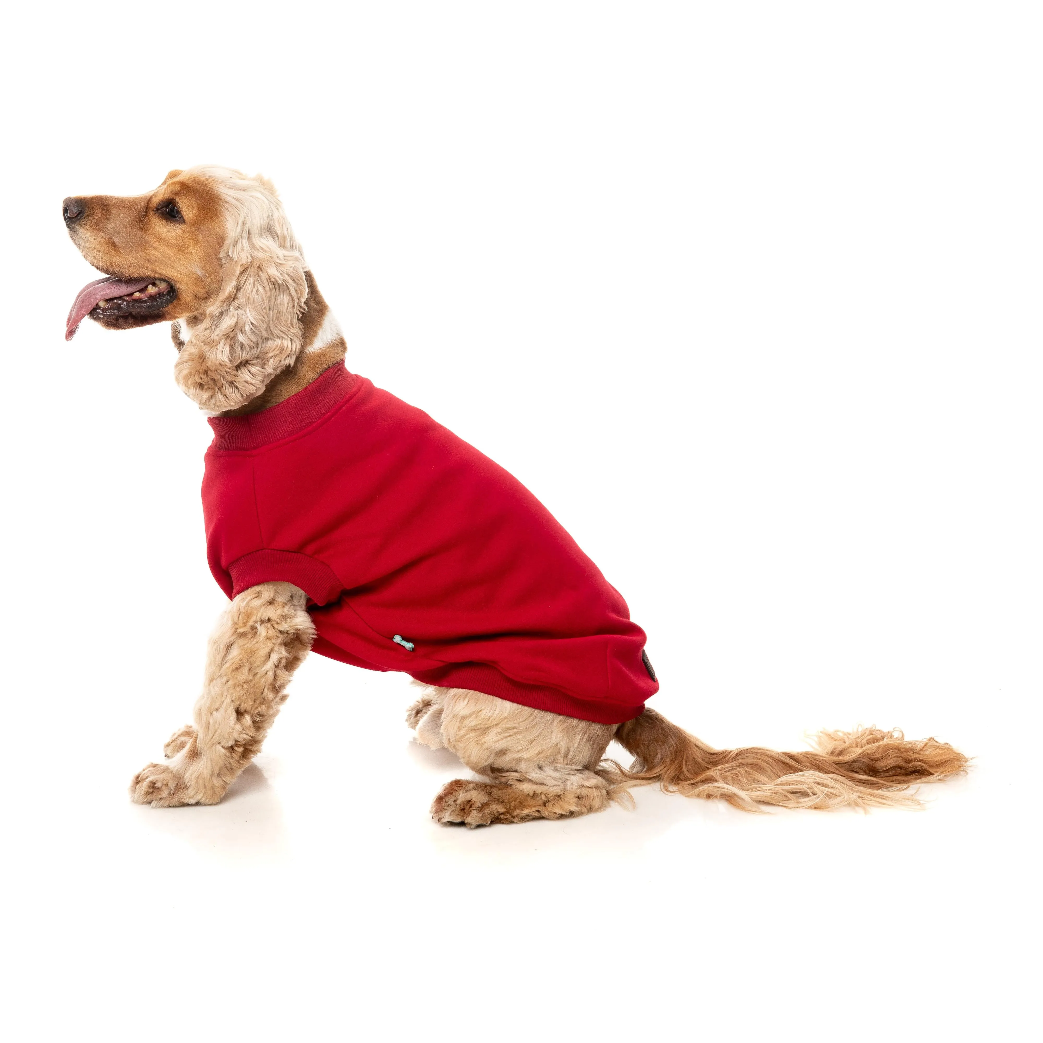 FuzzYard Dog Apparel Allday 25 Sweater Red Size 4