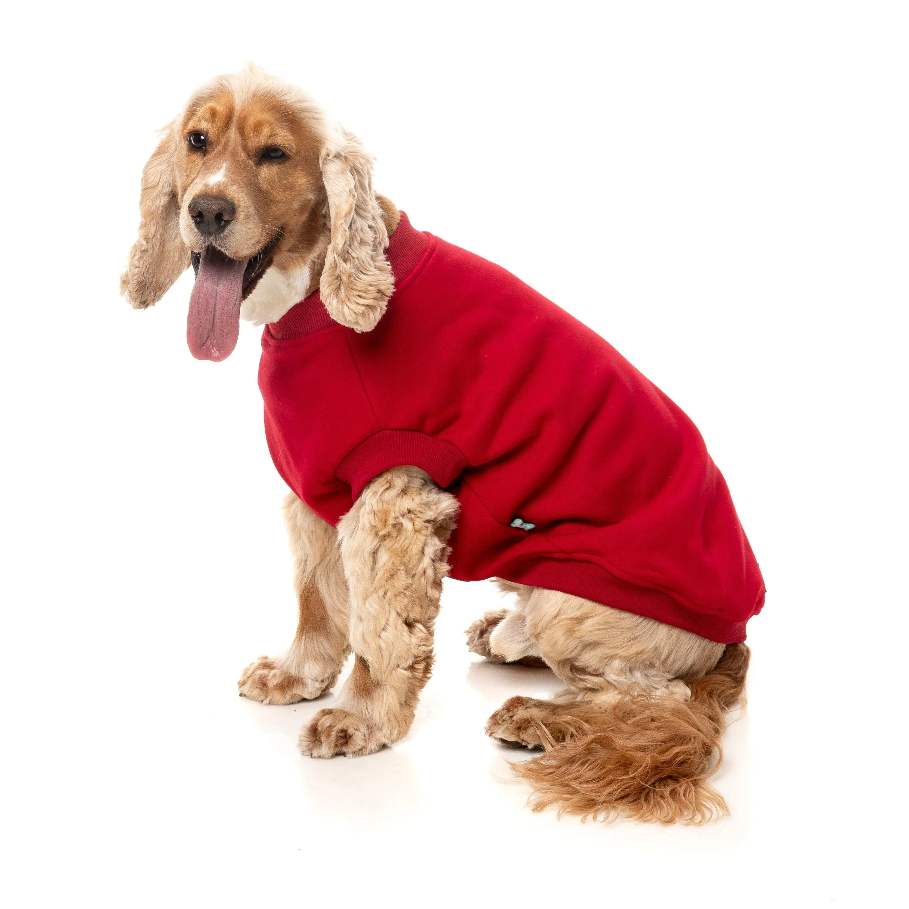 FuzzYard Dog Apparel Allday 25 Sweater Red Size 4