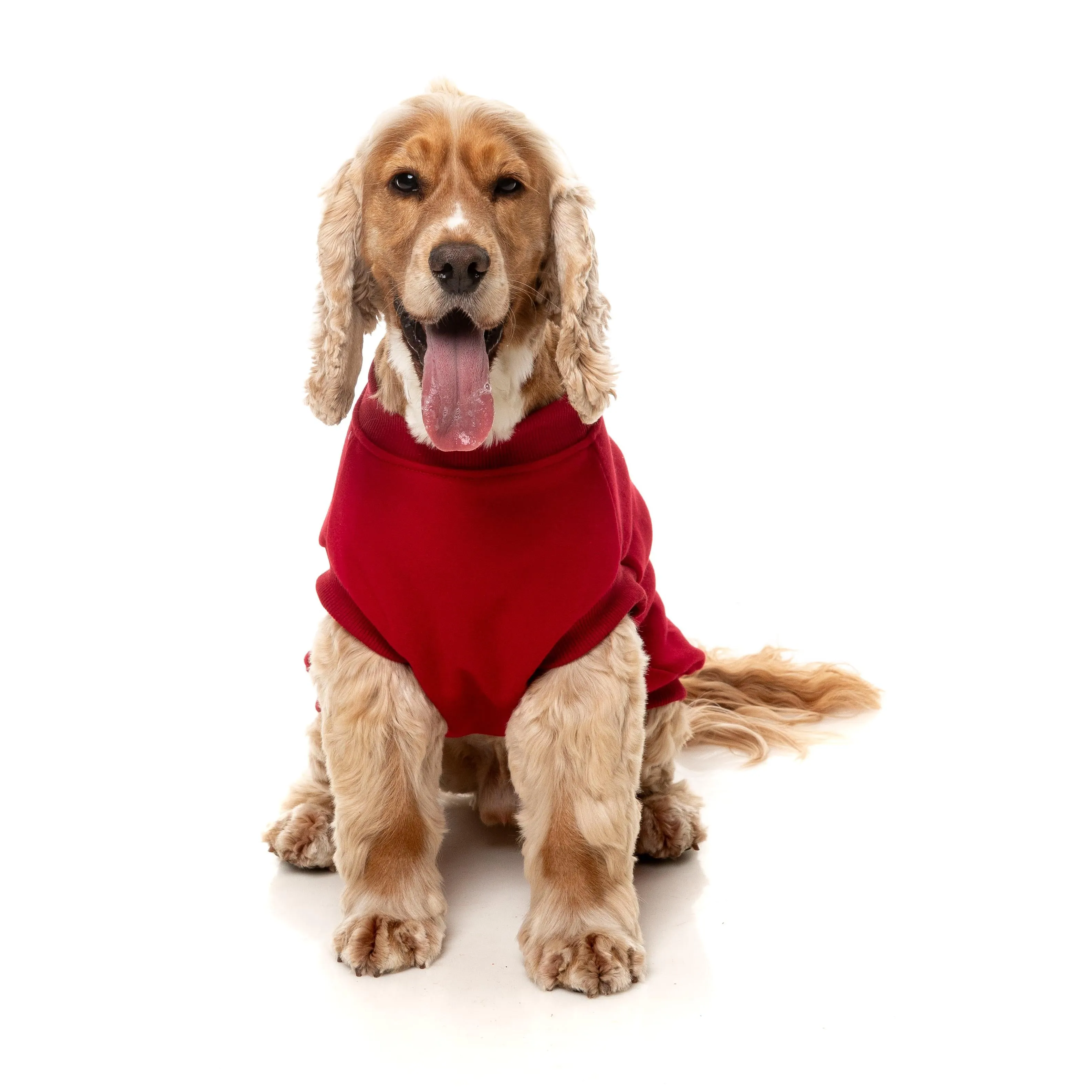 FuzzYard Dog Apparel Allday 25 Sweater Red Size 4