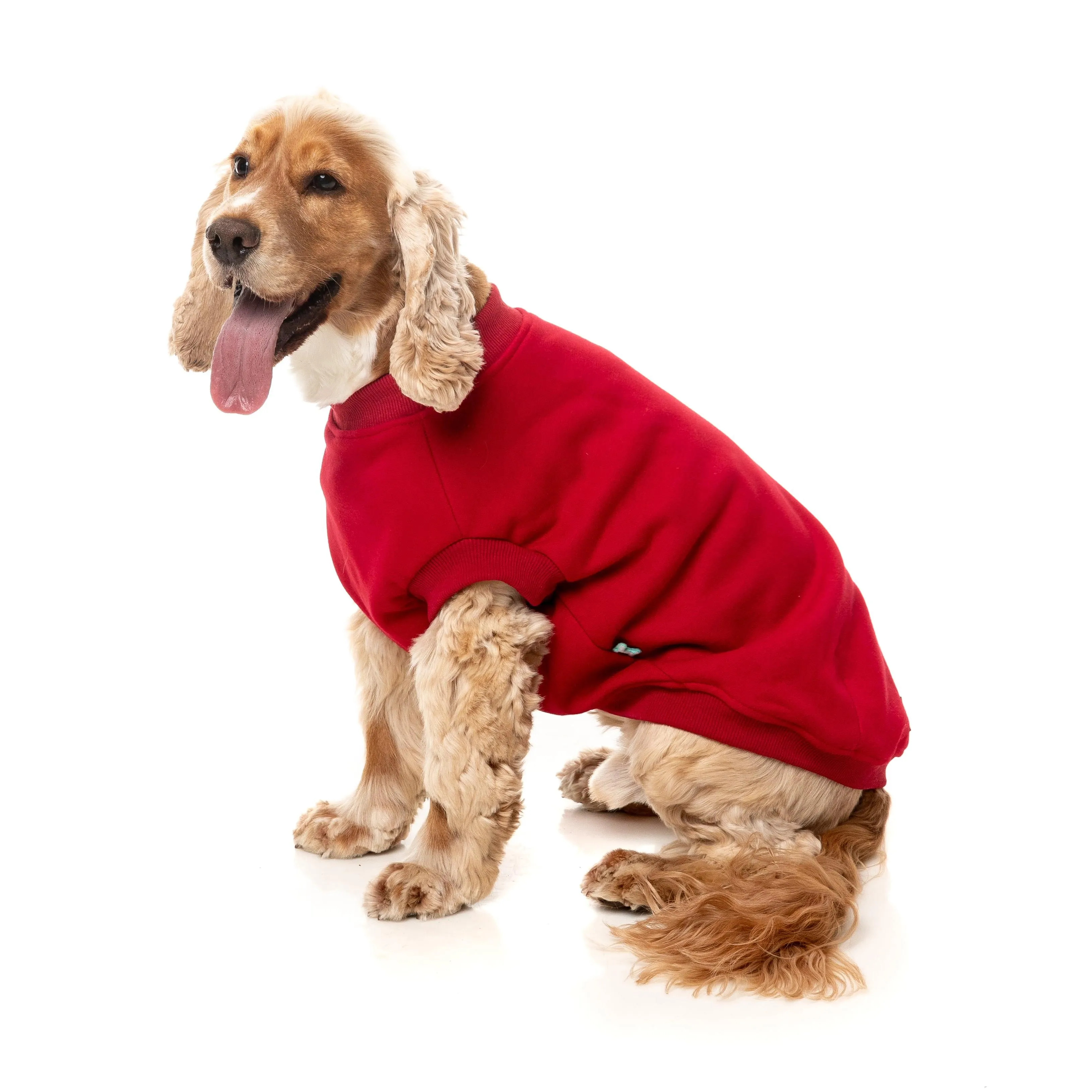 FuzzYard Dog Apparel Allday 25 Sweater Red Size 4