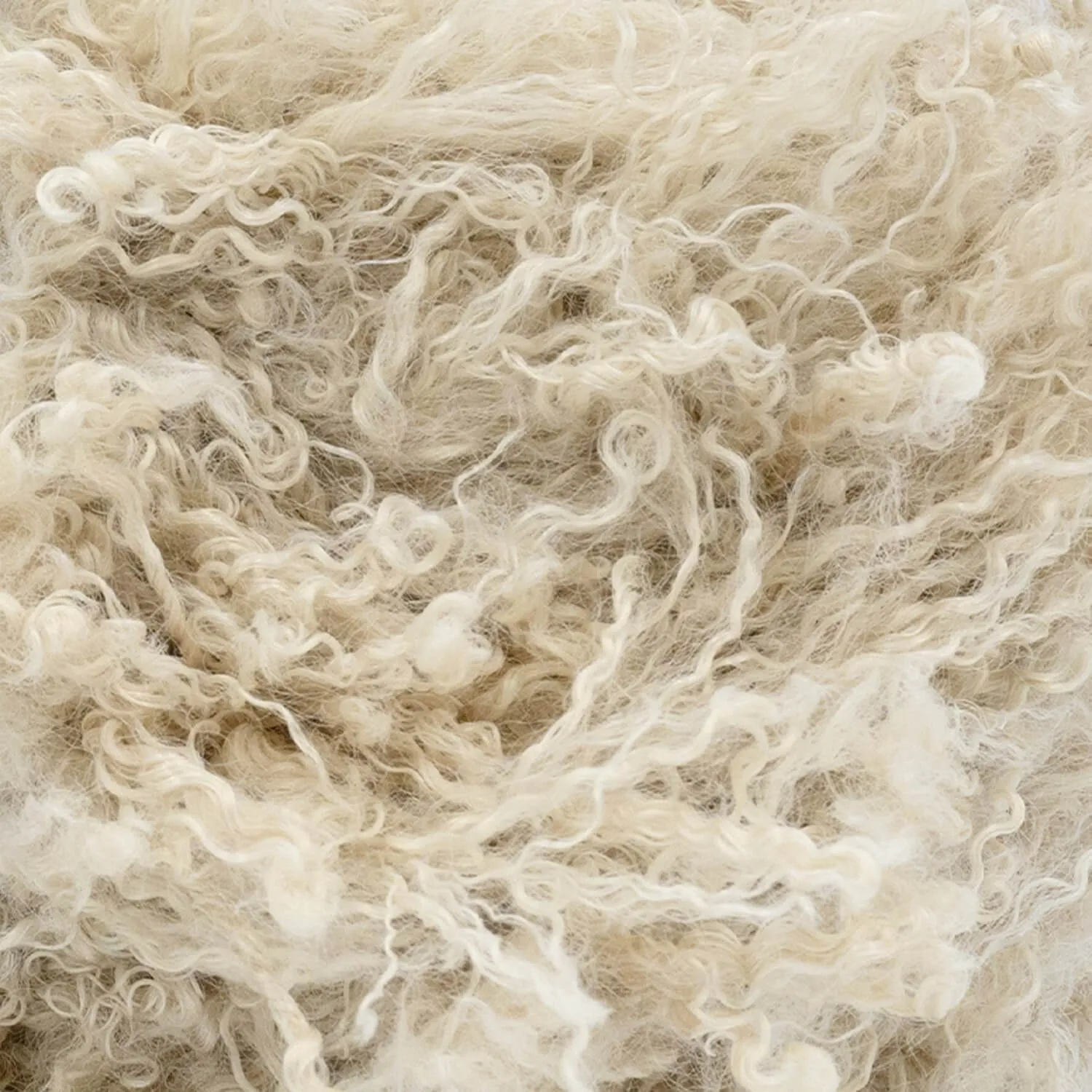 Haute Stitches Shaggy Chic