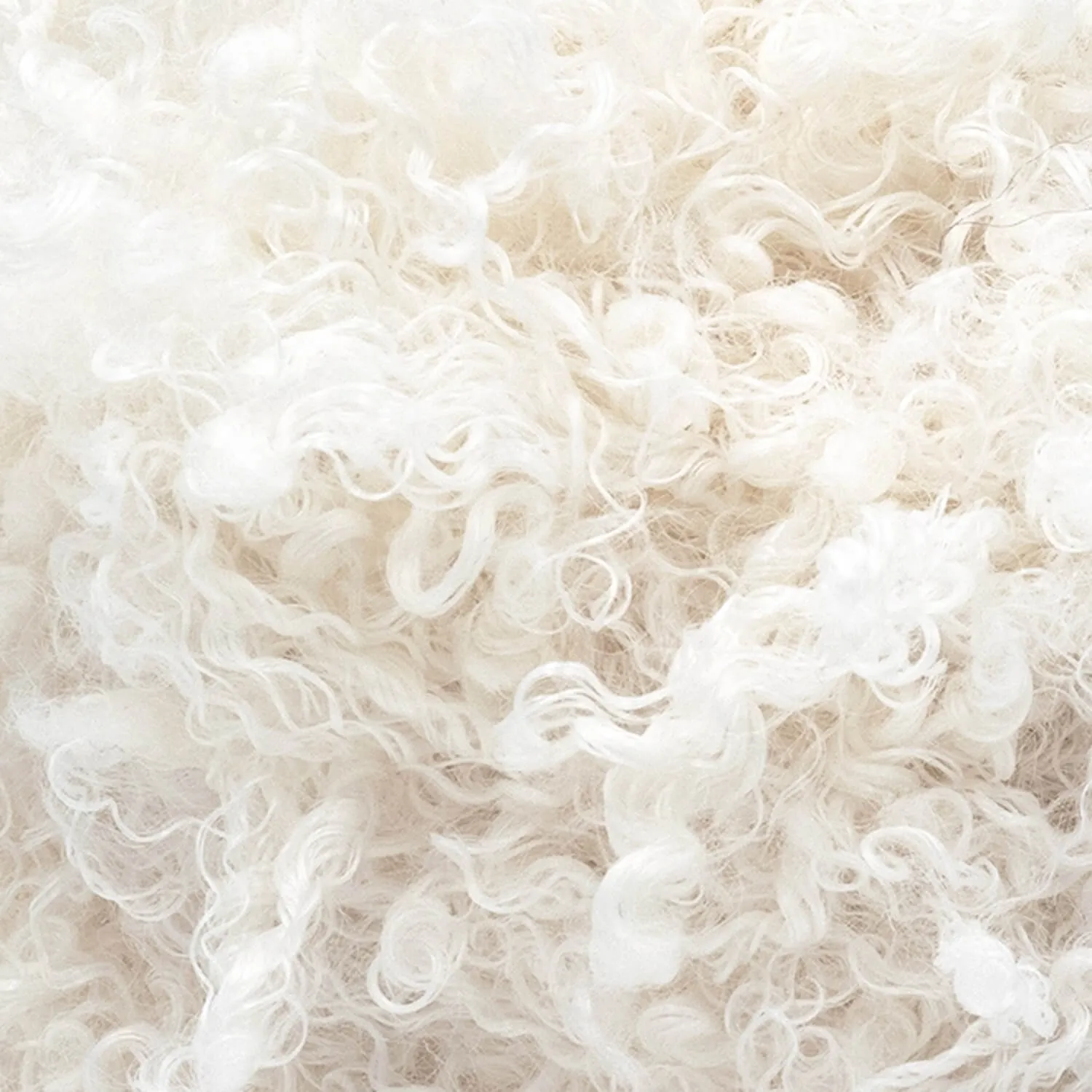 Haute Stitches Shaggy Chic