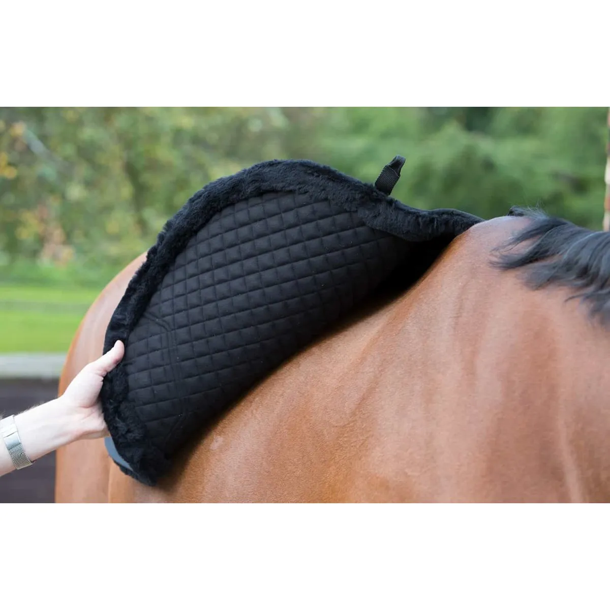 LeMieux  Sensitive Skin Euro Jump Square