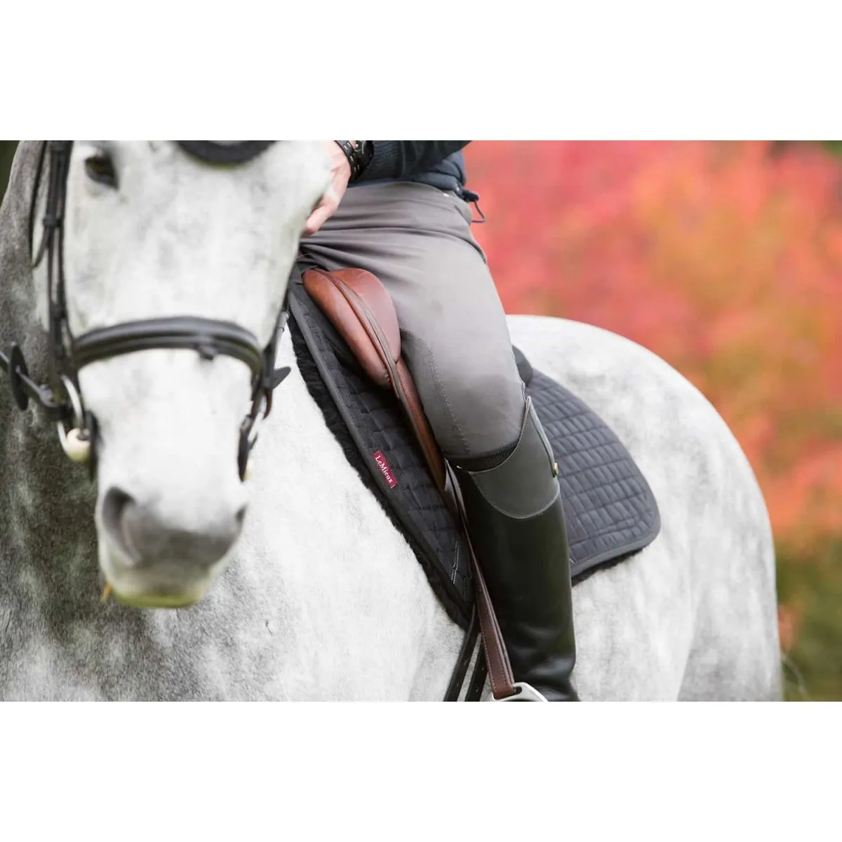 LeMieux  Sensitive Skin Euro Jump Square