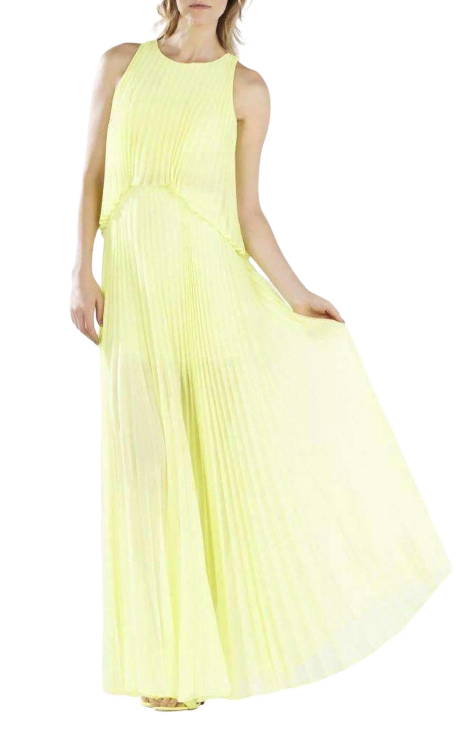 Shaina Citron Sleeveless Pleated Gown