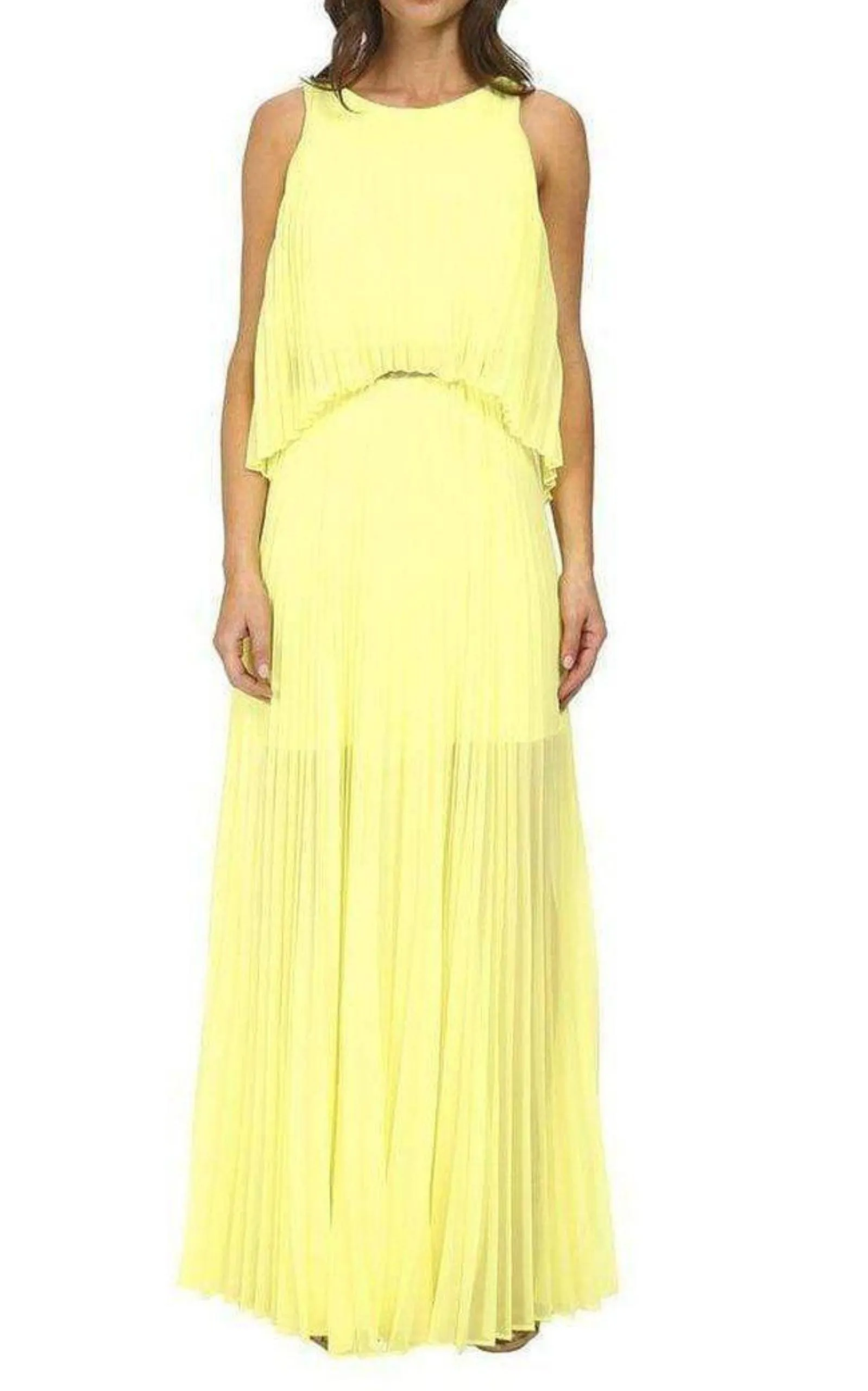 Shaina Citron Sleeveless Pleated Gown
