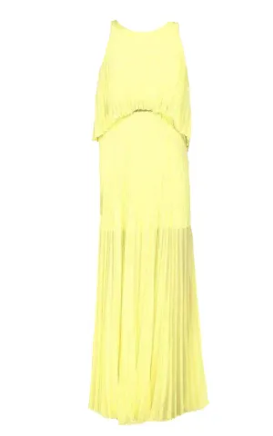 Shaina Citron Sleeveless Pleated Gown