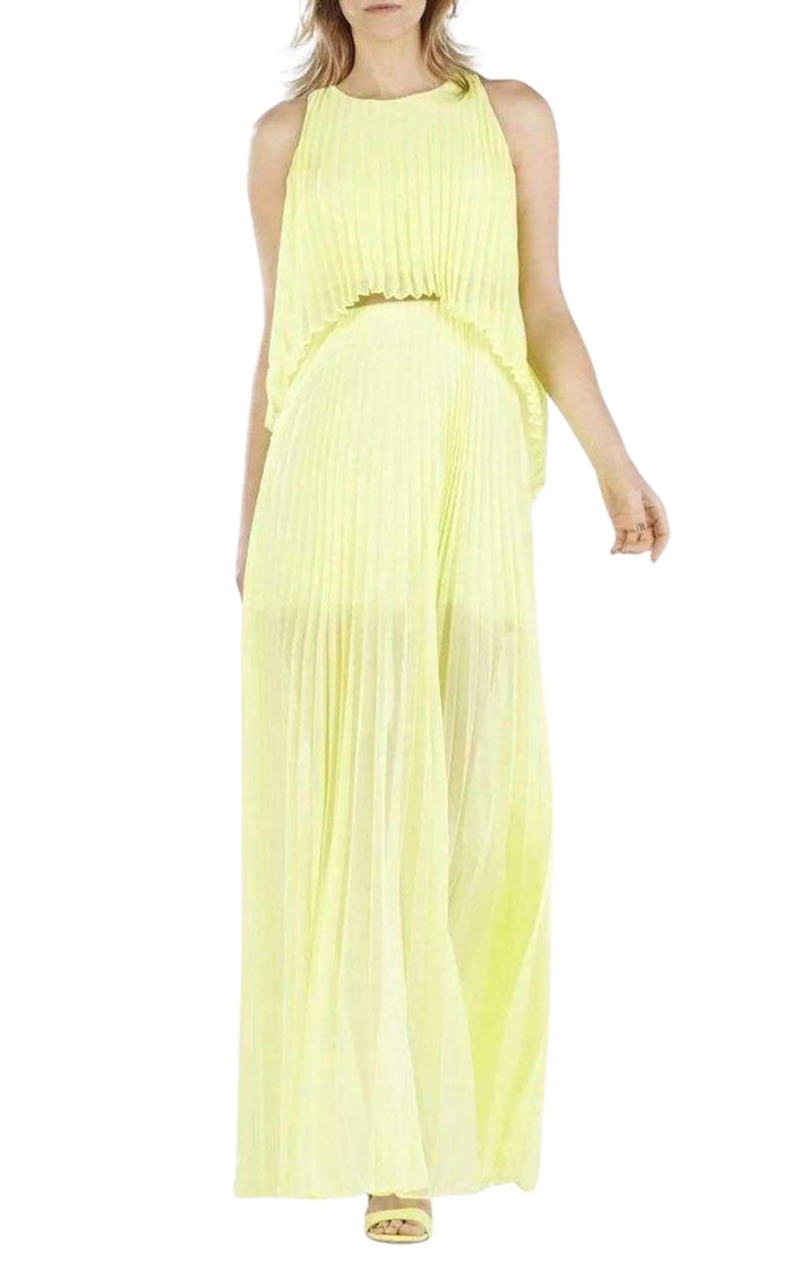 Shaina Citron Sleeveless Pleated Gown