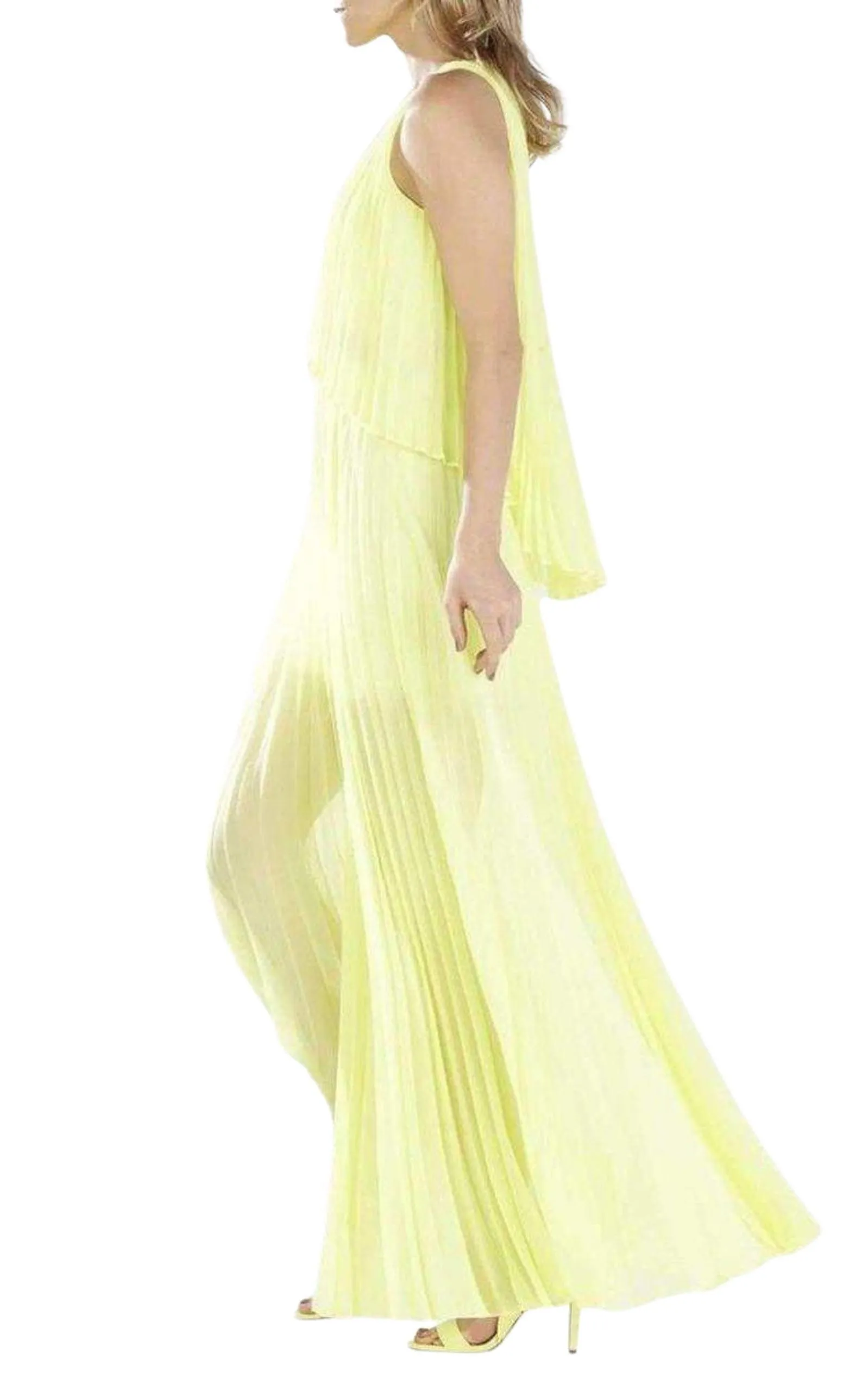 Shaina Citron Sleeveless Pleated Gown