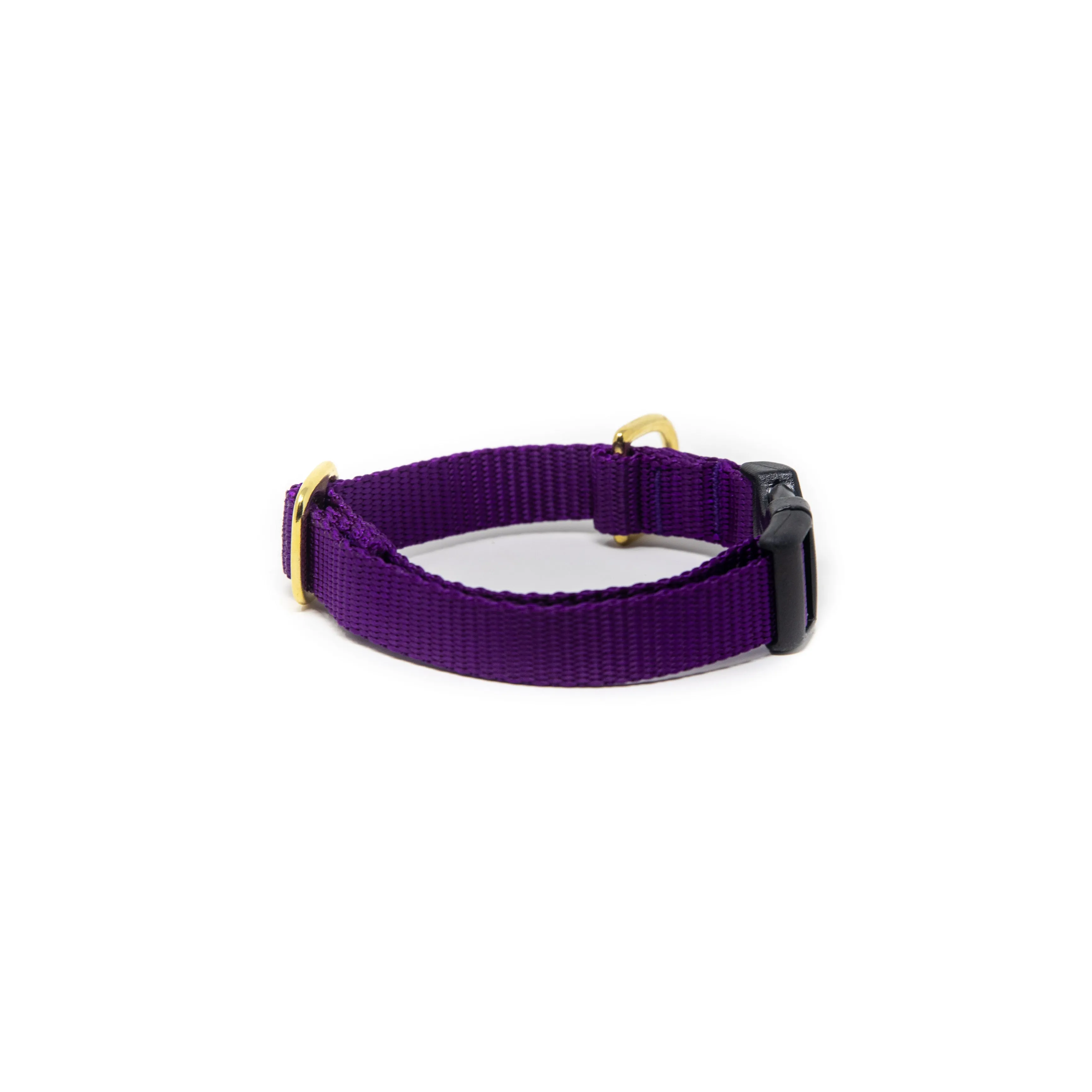 Small Dog Activewear  - Purple